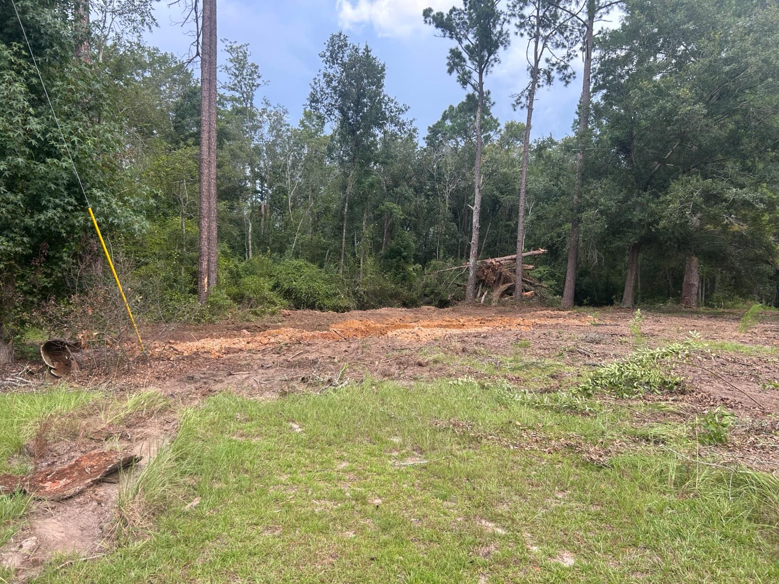 Grass and open ground after cleanup