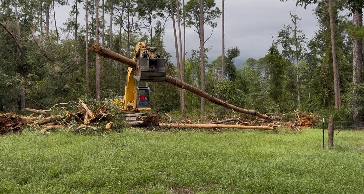 Excavator moving a felled tree in an open field