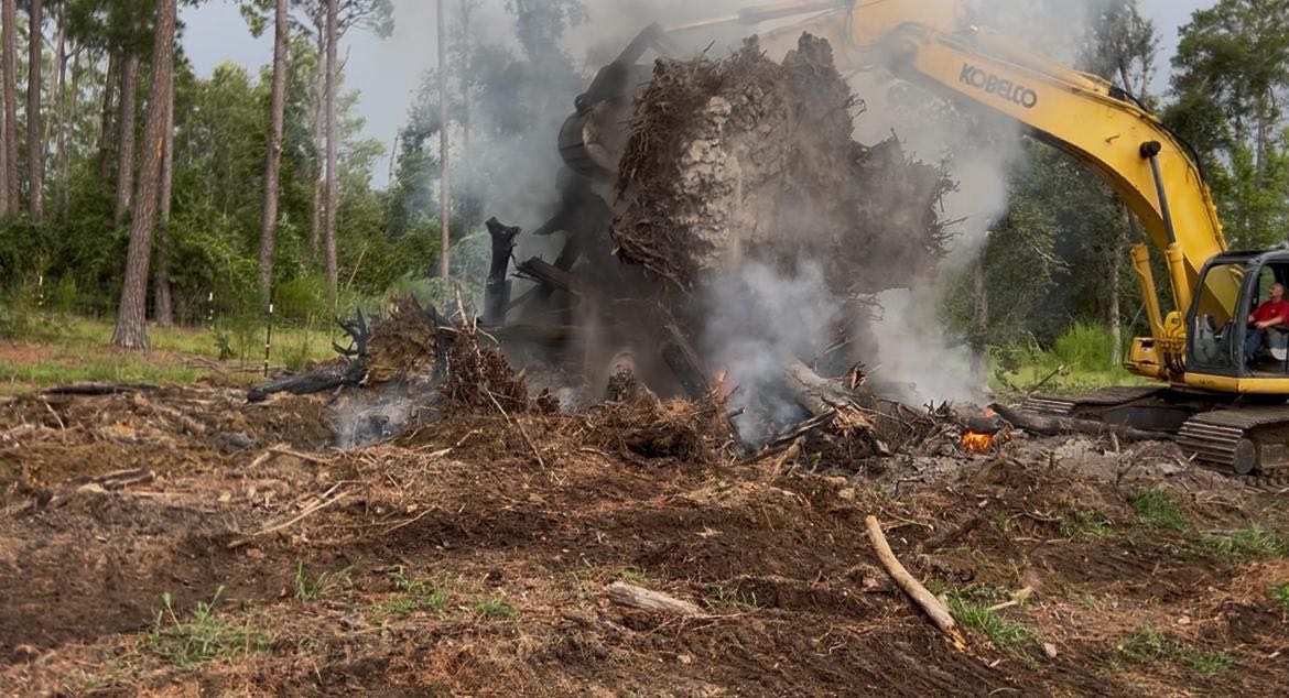 Excavator shaking soil from a root ball